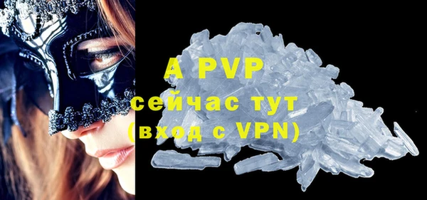 PSILOCYBIN Абаза