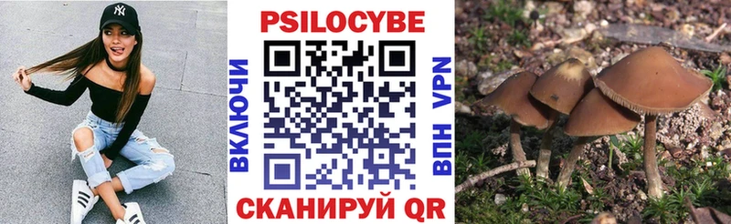 Псилоцибиновые грибы мухоморы  купить наркотики сайты  Горячеводский 